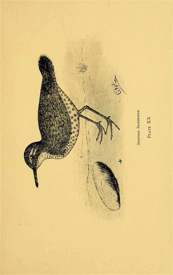 n186_w1150