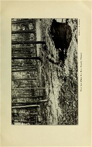 n196_w1150