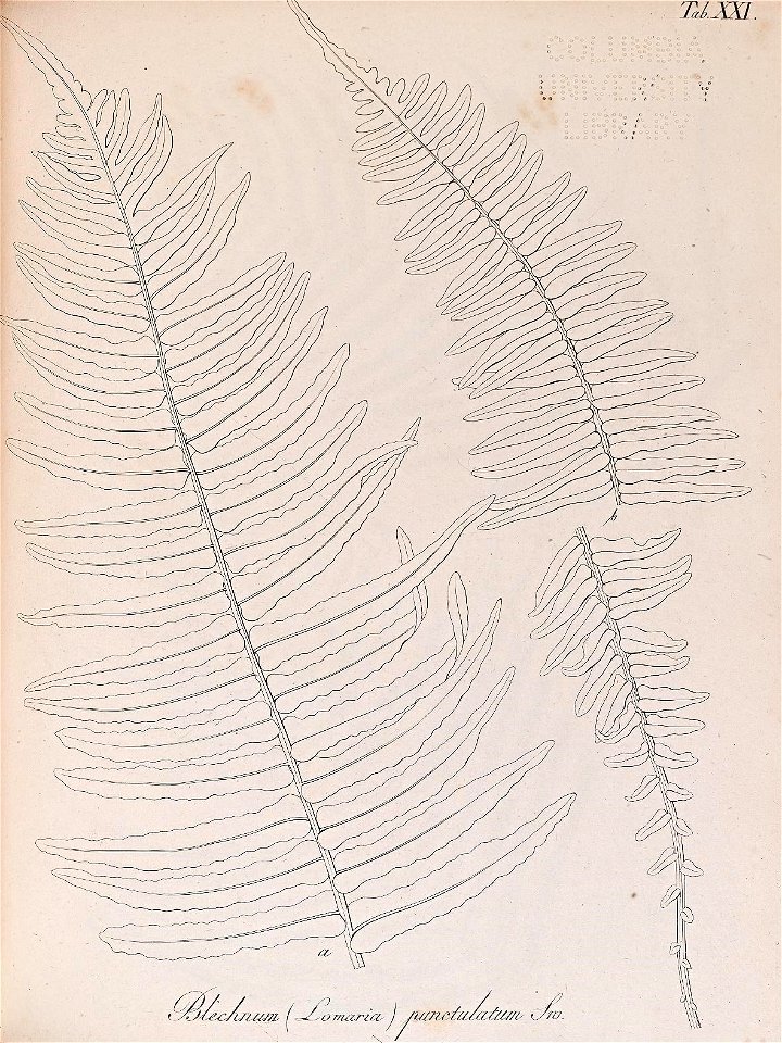 n106_w1150