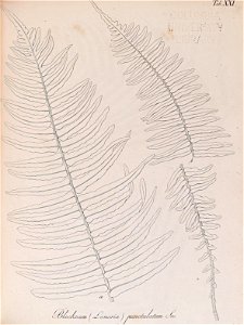 n106_w1150