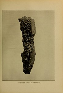 n176_w1150
