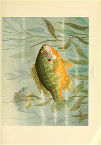 n500_w1150