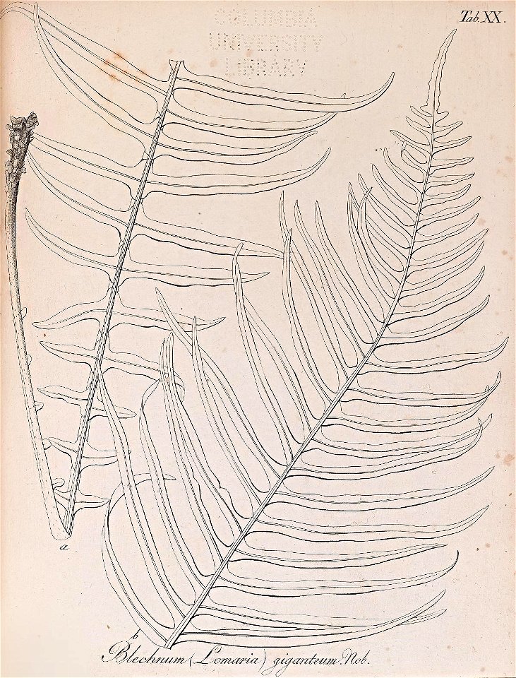 n104_w1150