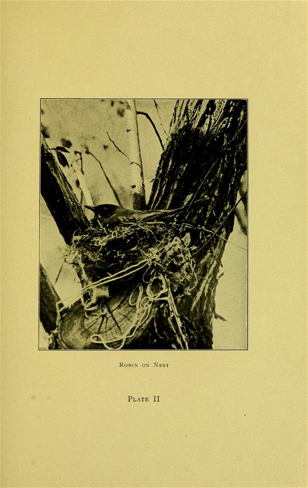 n12_w1150