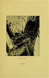 n12_w1150