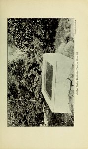 n292_w1150