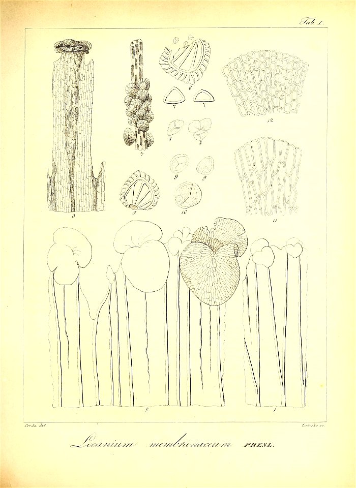 n198_w1150