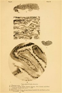 n122_w1150