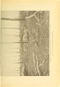 n146_w1150
