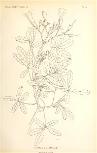n262_w1150