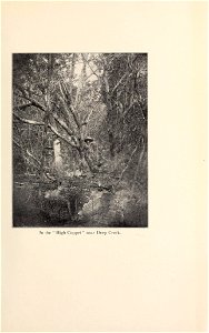 n174_w1150