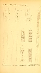 n372_w1150