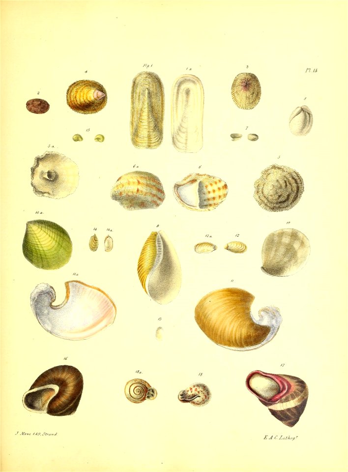 n116_w1150