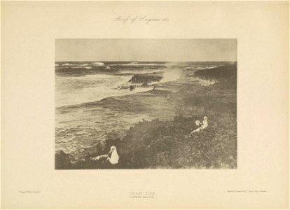 n20_w1150