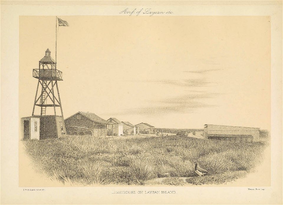 n18_w1150