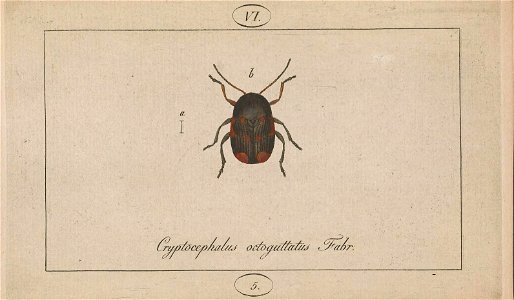 n572_w1150