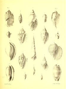 n94_w1150