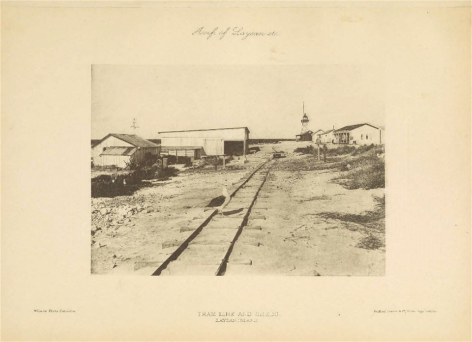 n16_w1150