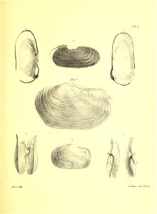 n62_w1150