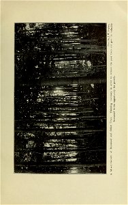 n208_w1150