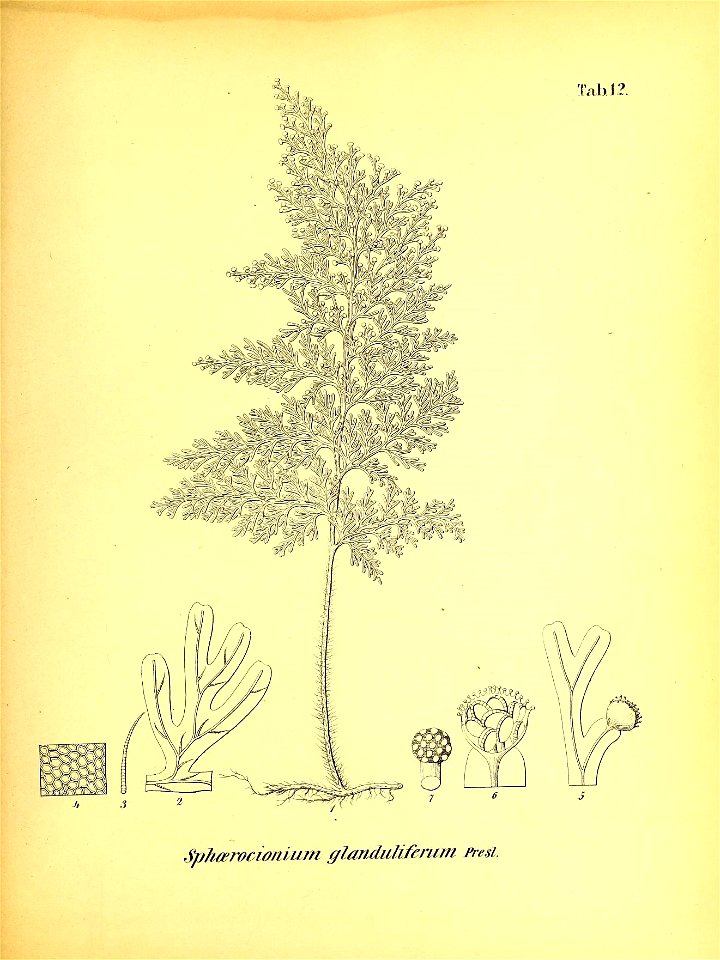n554_w1150