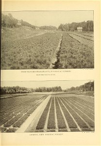 n196_w1150