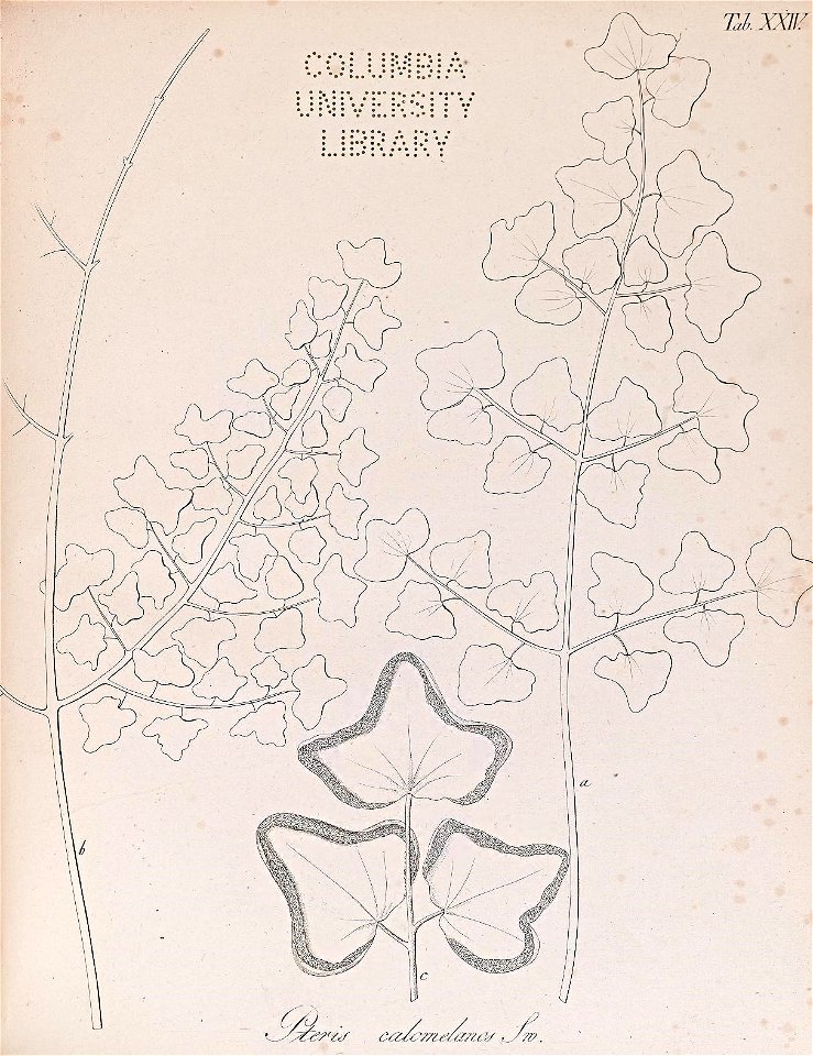 n112_w1150
