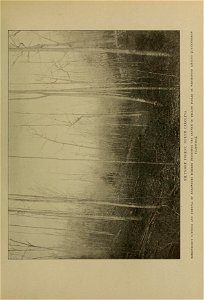 n424_w1150