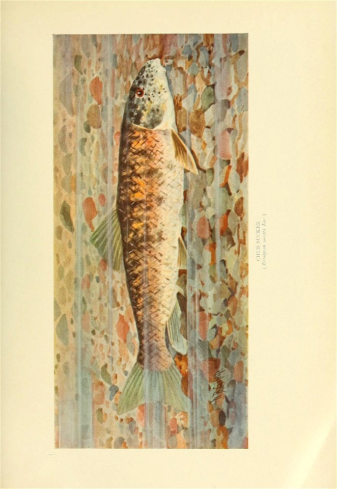 n522_w1150