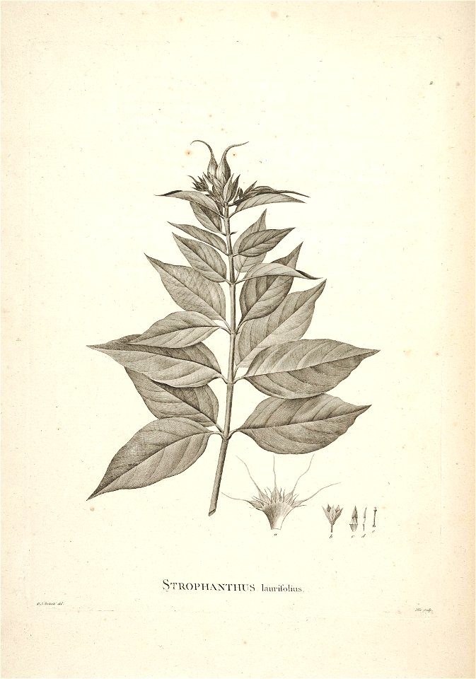 n69_w1150