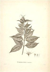 n69_w1150
