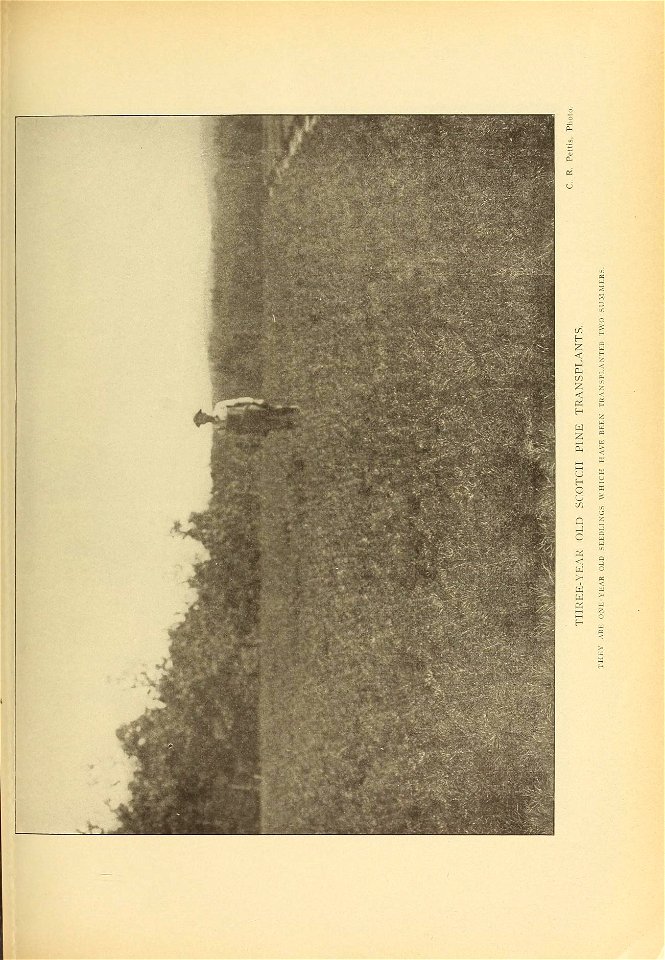 n236_w1150