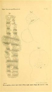 n224_w1150