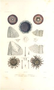 n148_w1150