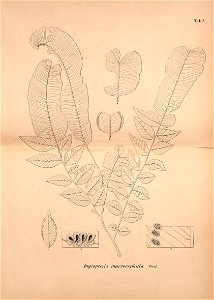 n536_w1150