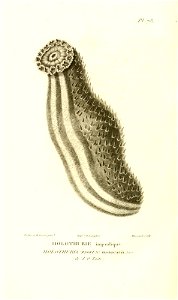 n381_w1150