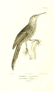 n157_w1150