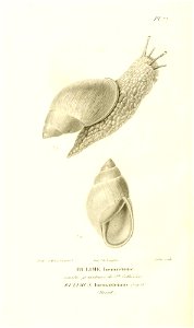 n377_w1150