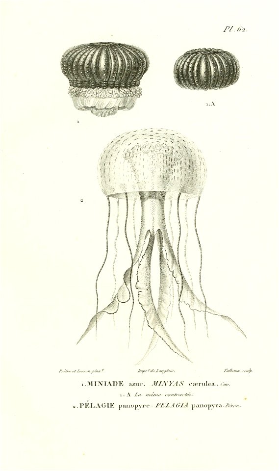 n314_w1150