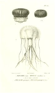 n314_w1150