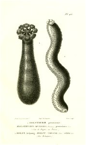 n216_w1150
