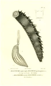 n152_w1150
