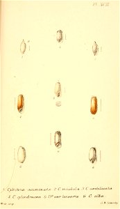 n474_w1150
