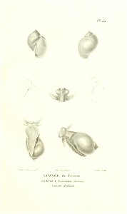n208_w1150