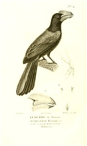 n365_w1150