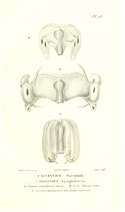n140_w1150