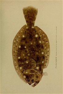 n282_w1150
