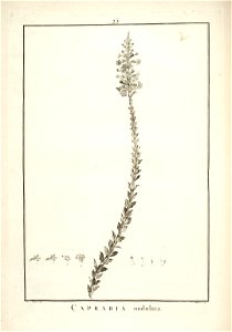 n40_w1150