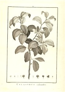 n16_w1150