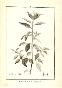 n15_w1150